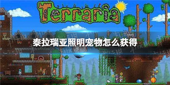 泰拉瑞亚照明宠物怎么获得（良心解答泰拉瑞亚照明宠物获取方式）