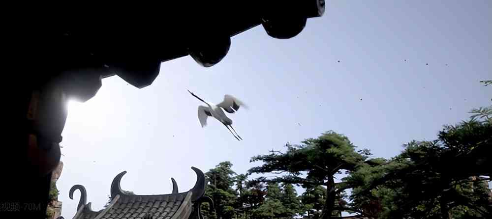 《一念逍遥》携手中央美术学院 乘云驾鹤云游仙居